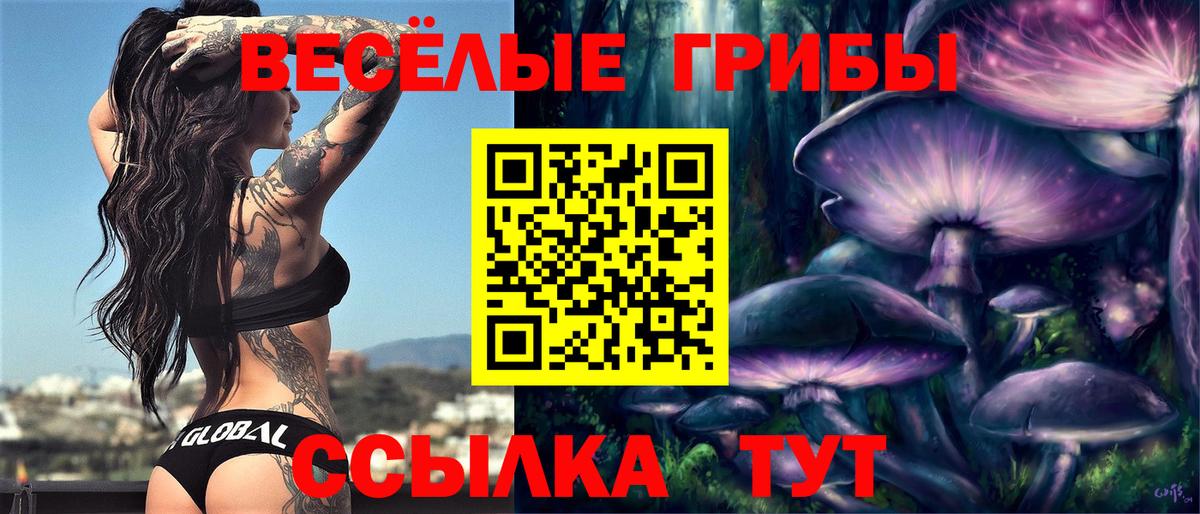 Псилоцибиновые грибы прущие грибы Калуга